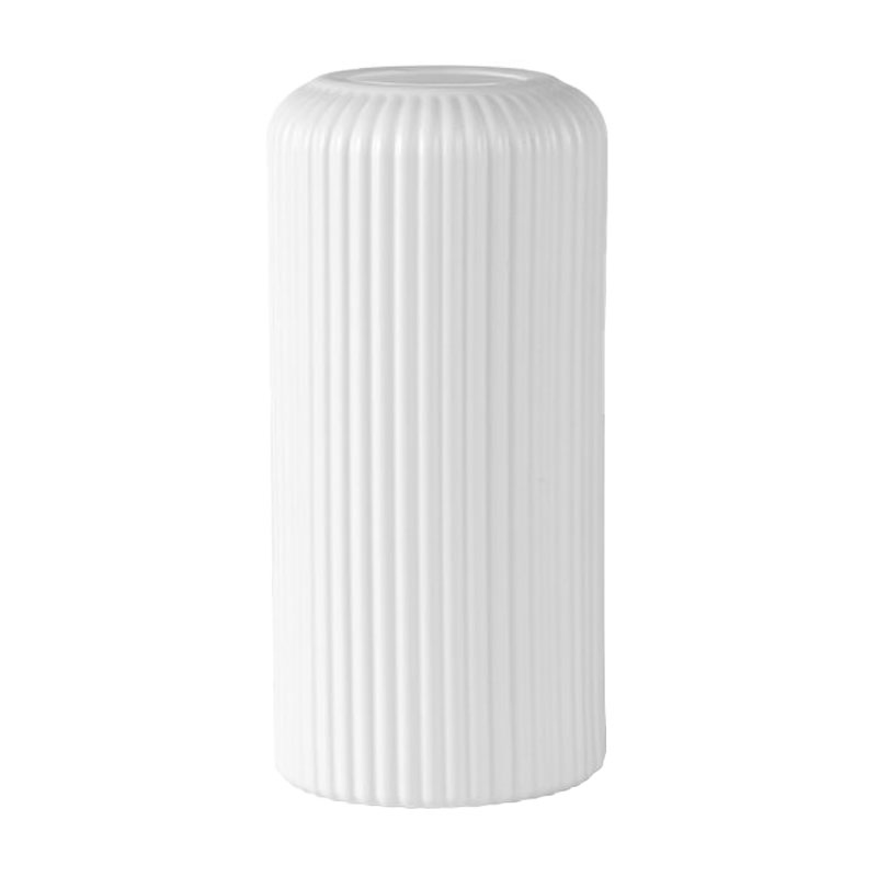 Ваза для квітів пластикова, біла, 5*20 см